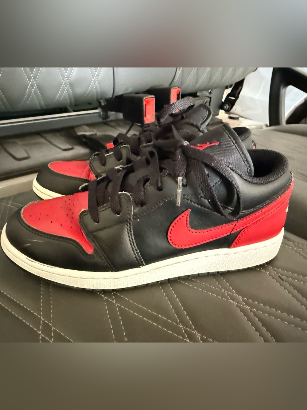 Nike Black and Red Dunk Sneakers